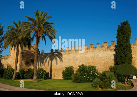 Remnants of the old city wall, Alcudia, Majorca, Balearic Islands, Spain Stock Photo