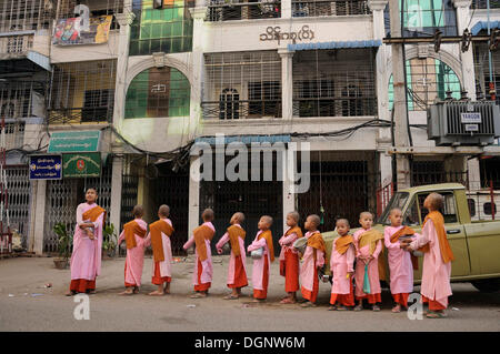 Young girls, Buddhist child nuns, during a begging-tour in the morning, historic centre of Yangon, Rangoon, Myanmar, Burma Stock Photo