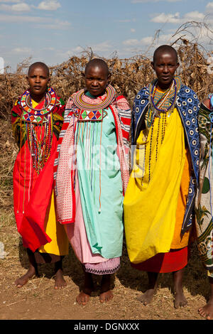 Masai woman wearing traditional dress, Masai Mara, Kenya, Africa Stock ...