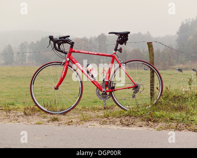 Red racer. Standing bicycle relating to foggy air and green, autumn meadows. Stock Photo