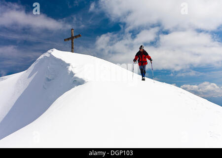Summit cross of Laugenspitze Mountain, Alto Adige, Italy, Europe Stock Photo