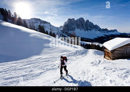 Cross-country skier near Woerndle Loch Alm alpine pasture, during the ascent to Zendleser Kofel Mountain in the Villnoess Valley Stock Photo