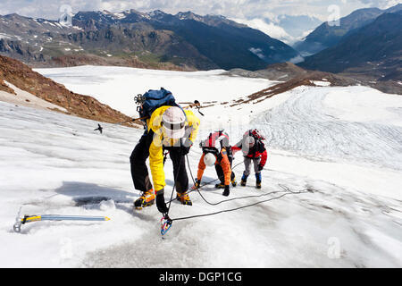 Climbers climbing Zufallferner glacier, roped up, above Marteller Huette mountain hut, Martell valley, province of Bolzano-Bozen Stock Photo