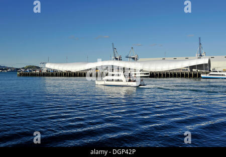 The Cloud building shaped like a long white cloud, port, in Auckland, New Zealand Stock Photo