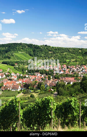 Uhlbach surrounded by vineyards near Stuttgart, Baden-Wuerttemberg Stock Photo