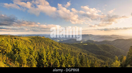 View of the southern Black Forest at sunset from the hiking trail around Schliffkopf mountain in the Black Forest Stock Photo