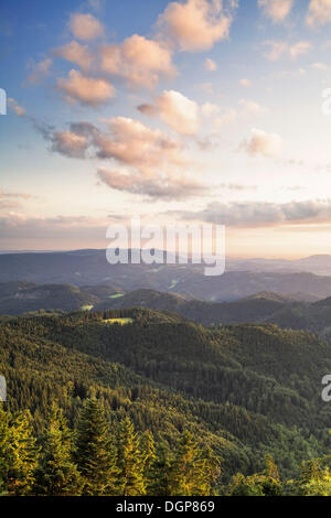 View from Schliffkopf mountain in the Black Forest towards the plains of the river Rhine in the evening, Baden-Wuerttemberg Stock Photo