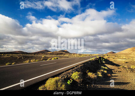 Road through the Parque Natural de Volcanos, Lanzarote, Canary Islands, Spain, Europe Stock Photo