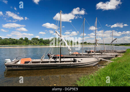 Boats on the Loire River, near Chaumont sur Loire, department of Loire et Cher, Centre region, France, Europe Stock Photo