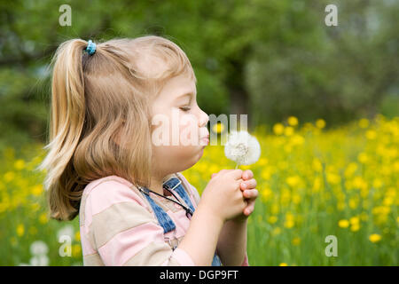 Girl sitting on a meadow holding a dandelion clock Stock Photo