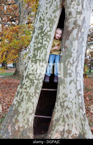 Six-year-old girl sitting in a hollow tree Stock Photo