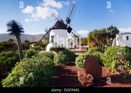Centro de Artesania Molino de Antigua, open-air museum, Antigua, Fuerteventura, Canary Islands, Spain Stock Photo