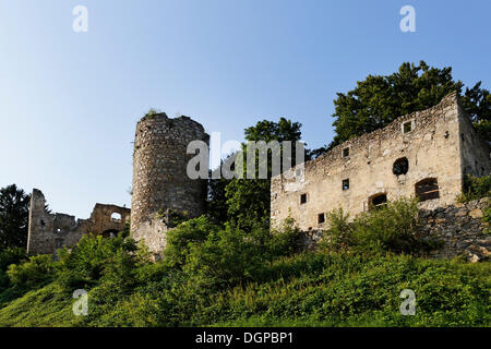 Ruins of Prandegg Castle, Schoenau im Muehlkreis, Muehlviertel region, Upper Austria, Austria, Europe, PublicGround Stock Photo