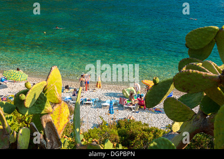 Tourists relaxing on Pupnatska beach near Pupnat, Croatia Stock Photo