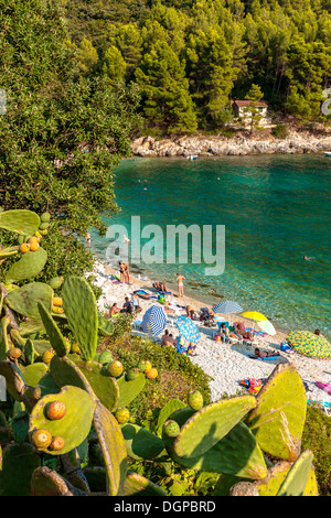 Tourists relaxing on Pupnatska beach near Pupnat, Croatia Stock Photo