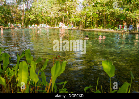 Tourists taking a bath in the natural pool of Ojo de Agua, Ometepe Island, Nicaragua. Stock Photo