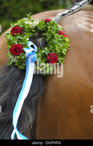 decorated horse tail Stock Photo