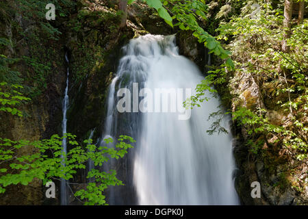 Golling Waterfall, Golling, Hallein District, Salzburg state, Austria Stock Photo