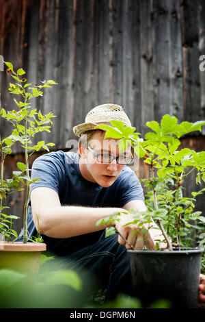 Mature Caucasian man inspecting old manual winch used on the Oliver ...