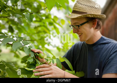Young man working in the garden discovering a nut Stock Photo
