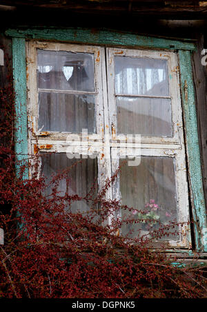 Weathered window on an old unoccupied farmhouse in Gruenefeld, Havelland region, Brandenburg Stock Photo