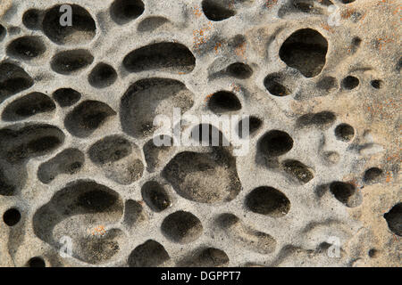 Tafoni rock formations, Salt Point State Park, Jenner, California, United States Stock Photo