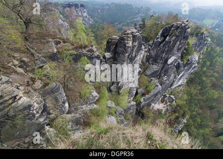 Bastei rock formation, Rathen, Nationalpark Sächsiche Schweiz, Saxony, Germany Stock Photo