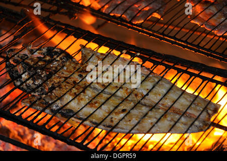 Sea fish on a charcoal grill, Jericoacoara, Ceará, Brazil, South America Stock Photo