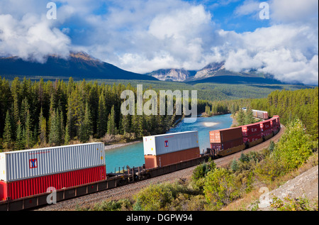 Canadian Pacific freight train travelling around Morant's Curve Bow Valley Parkway Banff National Park Rockies Alberta AB Canada Stock Photo