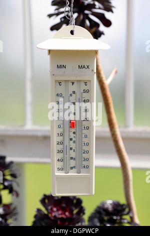 A Min Max Thermometer in a greenhouse, UK Stock Photo