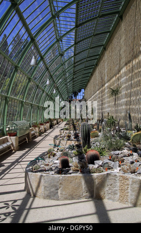 Botanic Gardens, Jardin des Plantes, Montpellier, Languedoc Roussillon, France Stock Photo