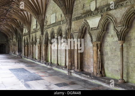 Canterbury Cathedral Cloisters Medieval Stone Roof Vaulting Heraldic ...