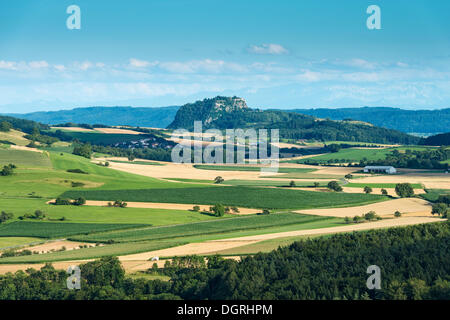 View of the Hegau landscape in summer, with ripe wheat fields and corn fields, Hohentwiel Hegau volcano at the back Stock Photo