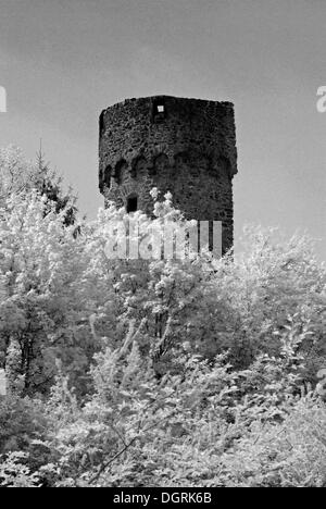 Tower of the city wall, Steinheim am Main, Rhein-Main region, Hesse Stock Photo