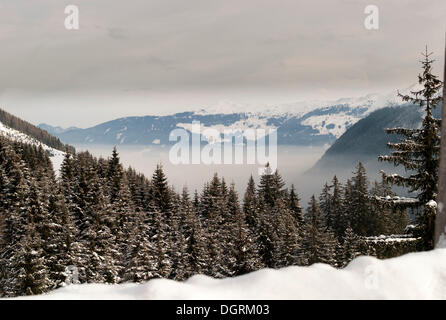 Atmospheric inversion, snow-covered forest, Austria, Europe Stock Photo