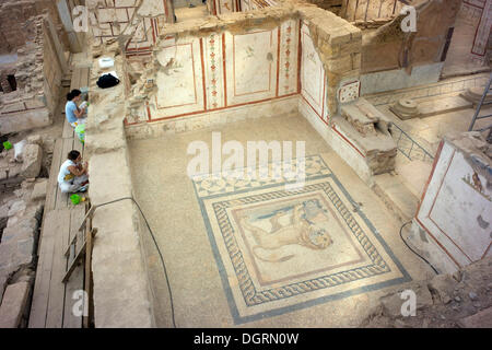 Slope House 2, ancient archaeological site, restoration, Ephesus, Efes, Izmir province, Turkey, Asia Stock Photo