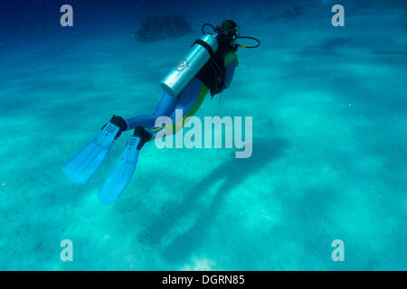 Scuba diver, South China Sea, Balnek, -, Busuanga Island, Calamian Islands, Palawan, Mimaropa, Philippines Stock Photo