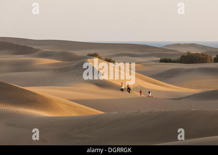 Sand dunes of Maspalomas, Gran Canaria, Canary Islands, Spain, Europe Stock Photo