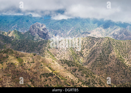 Misty mountain landscape of northern La Gomera, with juniper trees, agricultural terracing and the iconic phonolitic Roque Cano Stock Photo