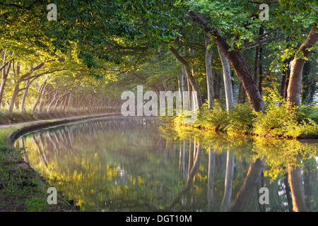 Canal du Midi channel between Argens-Minervois and Negra, near Écluse de l'Ocean, Pt 51, 6, Avignonet-Lauragais, Carcassonne Stock Photo