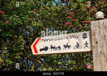 North Downs Way, start of the path into the city, Via Francigena, Canterbury, South East England, administrative county of Kent Stock Photo