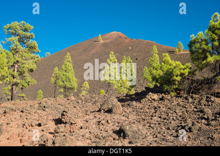 Montana Boca Cangrejo, a volcano in Tenerife, which erupted in 1492 and was seen by Columbus as he prepared to sail to America