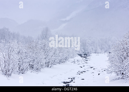 Valle de Pineta in snowy weather in late winter; Ordesa National Park, Pyrenees. Spain Stock Photo