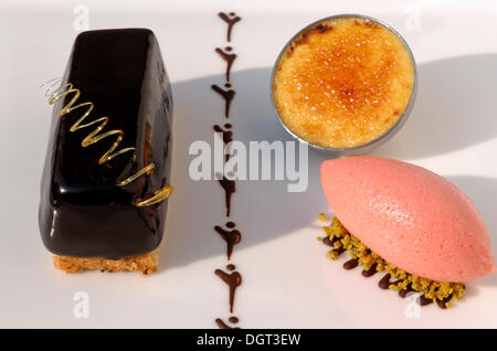 Dessert, chocolate cake, crème brûlée and rhubarb icecream, decorated on a white plate, Haute Cuisine, food Stock Photo