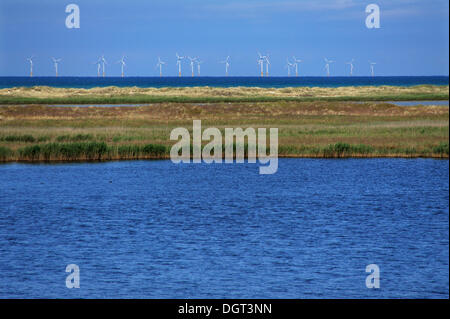 Offshore wind turbines in the Baltic Sea, coastal inlet at front, nature reserve, Baltic resort of Prerow Stock Photo