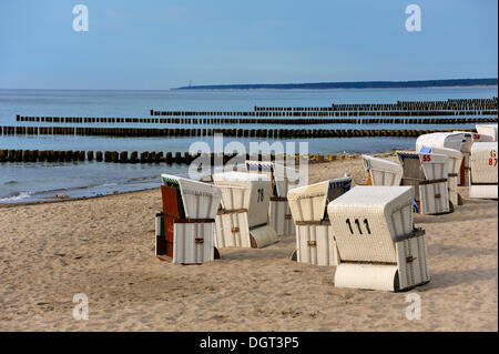 White beach chairs and groynes at the Baltic Sea, Ahrenshoop western beach, Darss, Mecklenburg-Western Pomerania Stock Photo