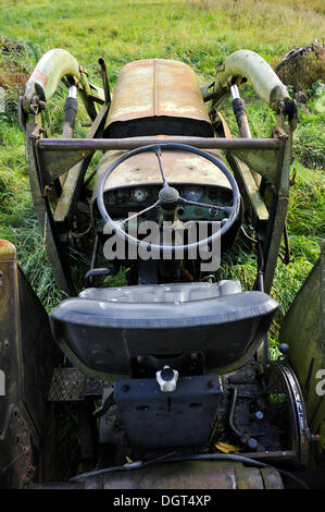 Old Fendt tractor from 1969 on a meadow, Gut Othenstorf, Zum Weißen Haus, Mecklenburg-Western Pomerania Stock Photo