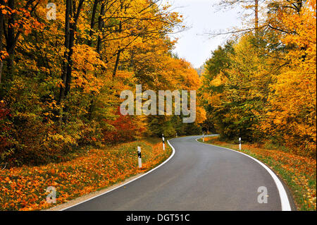 A country road leading through colourful mixed woodland in autumn, Rotenberg, Franconian Switzerland, Middle Franconia, Bavaria Stock Photo