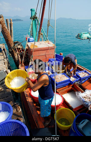 Fishing boat in front of Koh Wai Island, Koh Chang archipelago, National Park Mu Ko Chang, Trat, Gulf of Thailand, Thailand Stock Photo