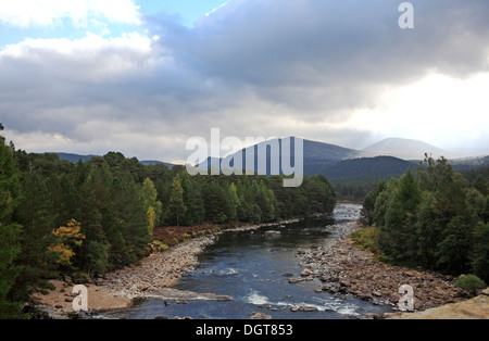 A view of the River Dee downstream of the Brig O' Dee at Invercauld, near Braemar, Aberdeenshire, Scotland, United Kingdom. Stock Photo